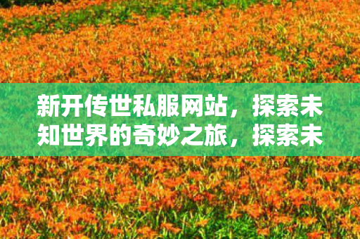 新开传世私服网站,探索未知世界的奇妙之旅,探索未知世界的奇妙之旅,新开传世私服网站 新开传世私服网站,探索未知世界的奇妙之旅,探索未知世界的奇妙之旅,新开传世私服网站