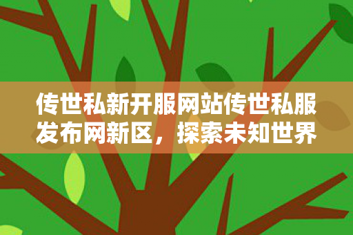 传世私新开服网站传世私服发布网新区图片