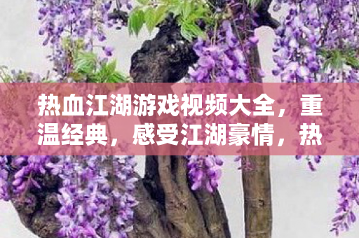 热血江湖游戏视频大全图片