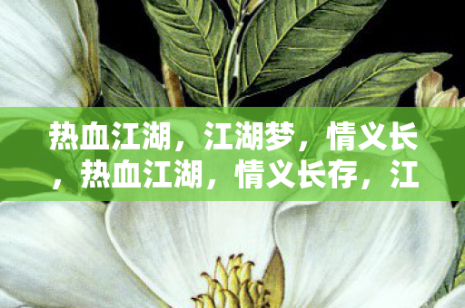 江湖梦未醒图片
