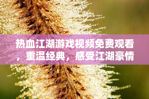 热血江湖游戏视频免费观看图片