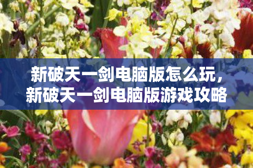 新破天一剑电脑版游戏攻略图片