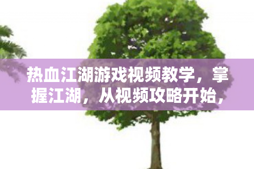 热血江湖游戏视频教学图片