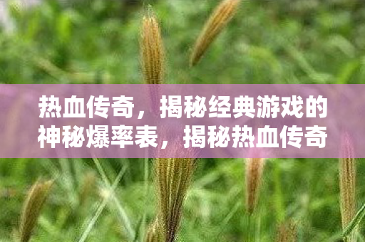 热血传奇，揭秘经典游戏的神秘爆率表，揭秘热血传奇神秘爆率表，经典游戏的传奇之路