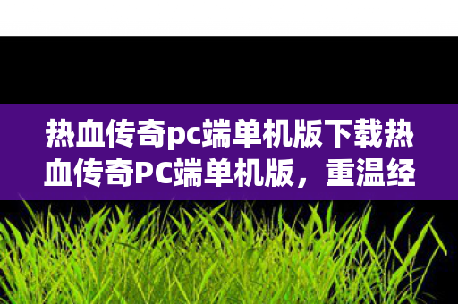 热血传奇pc端单机版下载热血传奇PC端单机版图片