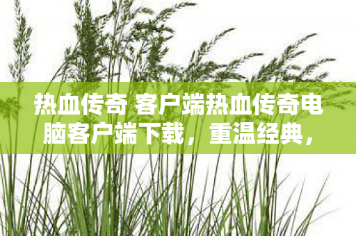 热血传奇 客户端热血传奇电脑客户端下载图片
