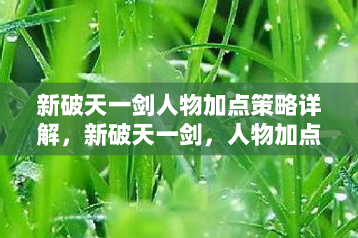 新破天一剑人物加点策略详解图片
