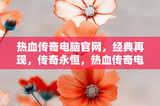 热血传奇电脑官网图片