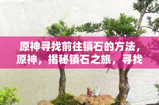 原神寻找前往镇石的方法，原神，揭秘镇石之旅，寻找前往方法