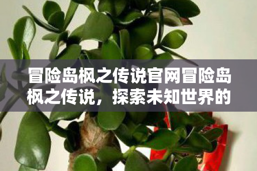 冒险岛枫之传说官网冒险岛枫之传说图片