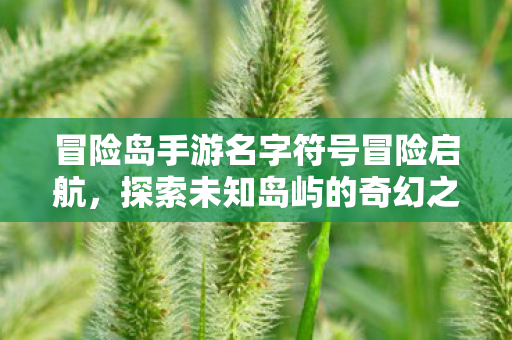 冒险岛手游名字符号冒险启航图片