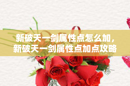 新破天一剑属性点怎么加,新破天一剑属性点加点攻略 新破天一剑属性点怎么加,新破天一剑属性点加点攻略