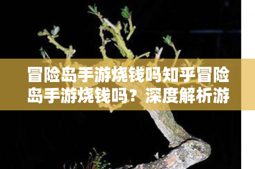 冒险岛手游烧钱吗知乎冒险岛手游烧钱吗图片