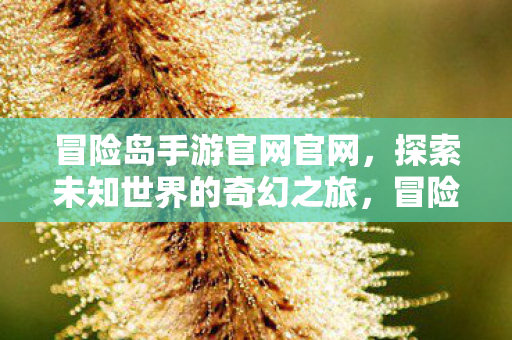 开启探索未知世界的奇幻之旅图片