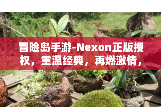 冒险岛手游-Nexon正版授权,重温经典,再燃激情,Nexon正版授权冒险岛手游重温经典,再燃激情 冒险岛手游-Nexon正版授权,重温经典,再燃激情,Nexon正版授权冒险岛手游重温经典,再燃激情