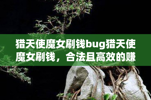 猎天使魔女刷钱bug猎天使魔女刷钱,合法且高效的赚钱攻略,猎天使魔女高效赚钱攻略,合法刷钱技巧大揭秘 猎天使魔女刷钱bug猎天使魔女刷钱,合法且高效的赚钱攻略,猎天使魔女高效赚钱攻略,合法刷钱技巧大揭秘