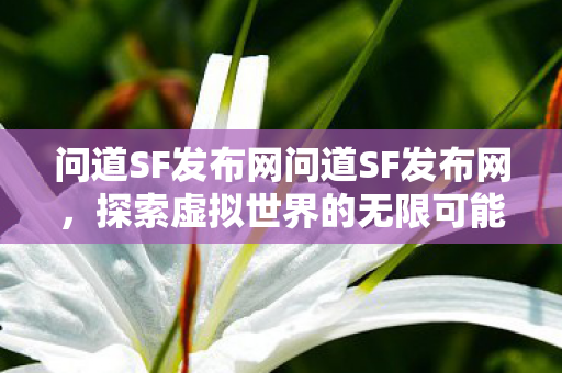 问道SF发布网问道SF发布网,探索虚拟世界的无限可能,问道SF发布网,探索虚拟世界的无限可能 问道SF发布网问道SF发布网,探索虚拟世界的无限可能,问道SF发布网,探索虚拟世界的无限可能