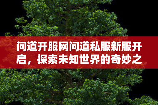 问道开服网问道私服新服开启，探索未知世界的奇妙之旅，问道私服新服开启，探索未知世界的奇妙之旅
