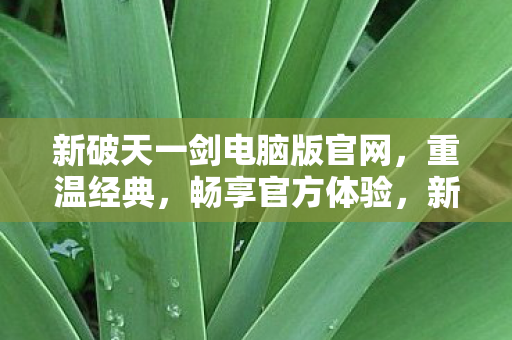 新破天一剑电脑版官网图片