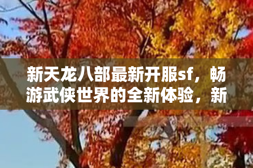 新天龙八部最新开服sf，畅游武侠世界的全新体验，新天龙八部最新私服开启，畅游武侠世界的全新冒险体验