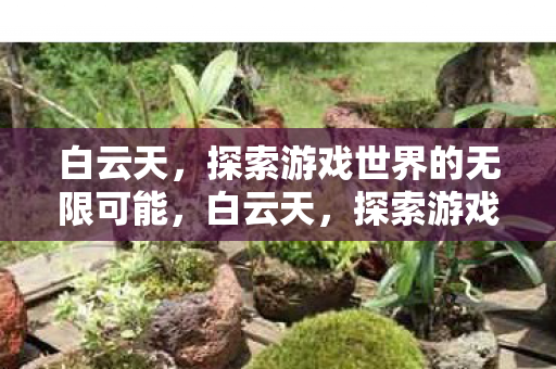 白云天,探索游戏世界的无限可能,白云天,探索游戏世界的无限可能 白云天,探索游戏世界的无限可能,白云天,探索游戏世界的无限可能
