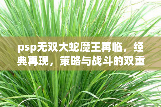 psp无双大蛇魔王再临，经典再现，策略与战斗的双重盛宴，无双大蛇系列新作魔王再临，策略与战斗的双重盛宴来袭！