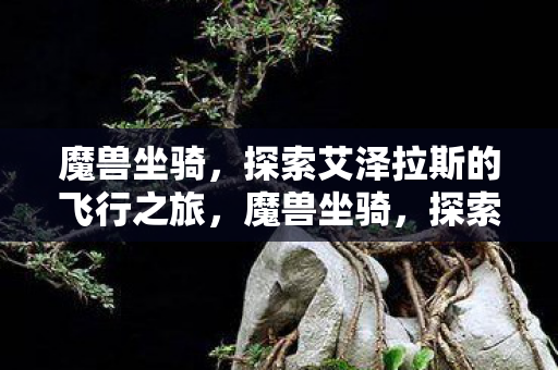 魔兽坐骑,探索艾泽拉斯的飞行之旅,魔兽坐骑,探索艾泽拉斯的飞行之旅 魔兽坐骑,探索艾泽拉斯的飞行之旅,魔兽坐骑,探索艾泽拉斯的飞行之旅