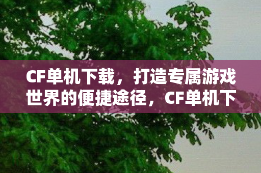 CF单机下载,打造专属游戏世界的便捷途径,CF单机下载,打造专属游戏世界的便捷途径 CF单机下载,打造专属游戏世界的便捷途径,CF单机下载,打造专属游戏世界的便捷途径