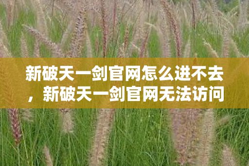 新破天一剑官网无法访问的解决方案图片