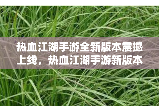 热血江湖手游全新版本震撼上线图片