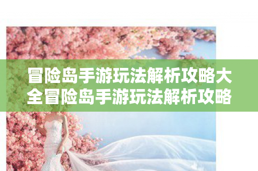 冒险岛手游玩法解析攻略大全冒险岛手游玩法解析攻略图片