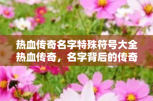 热血传奇名字特殊符号大全热血传奇,名字背后的传奇故事,热血传奇名字特殊符号背后的传奇故事 热血传奇名字特殊符号大全热血传奇,名字背后的传奇故事,热血传奇名字特殊符号背后的传奇故事