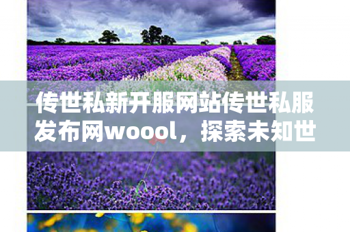 传世私新开服网站传世私服发布网woool图片
