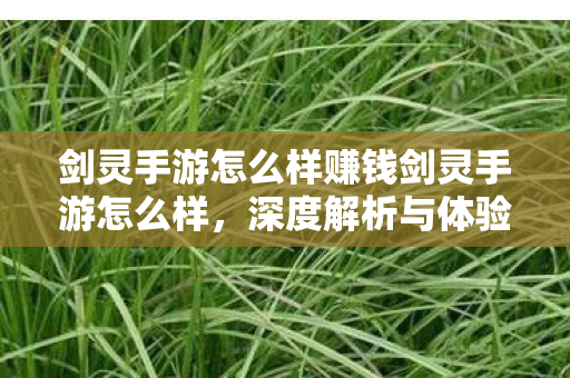 如何在剑灵手游中赚钱与提升游戏体验图片