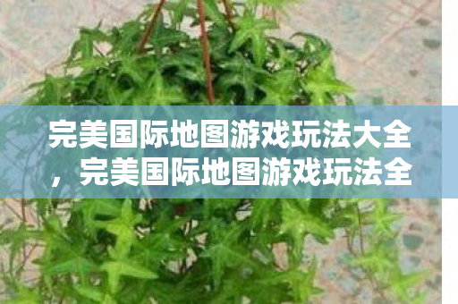 完美国际地图游戏玩法全解析图片