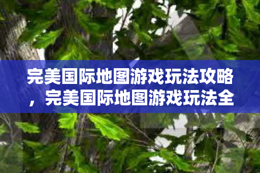完美国际地图游戏玩法全攻略图片