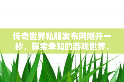 传奇世界私服发布网刚开一秒图片
