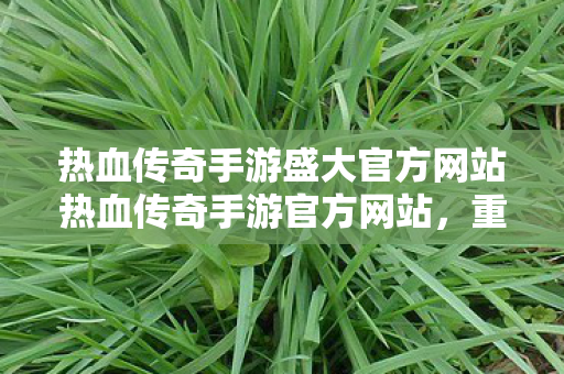 热血传奇手游盛大官方网站热血传奇手游官方网站图片