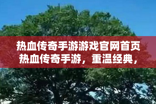 热血传奇手游游戏官网首页热血传奇手游图片