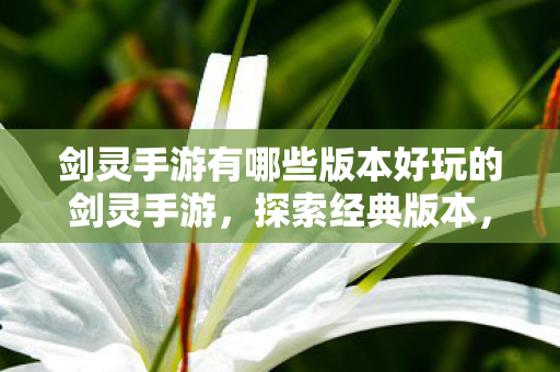 剑灵手游有哪些版本好玩的剑灵手游图片