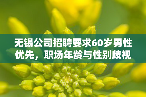 无锡公司招聘要求60岁男性优先，职场年龄与性别歧视的反思，无锡公司招聘要求60岁男性优先引热议，职场年龄与性别歧视何时休？