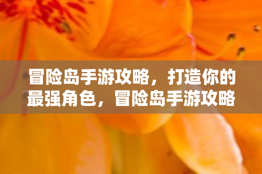 冒险岛手游攻略,打造你的最强角色,冒险岛手游攻略,打造最强角色 冒险岛手游攻略,打造你的最强角色,冒险岛手游攻略,打造最强角色