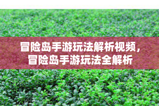 冒险岛手游玩法解析视频图片