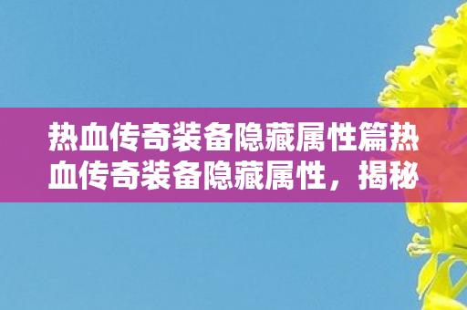 热血传奇装备隐藏属性篇热血传奇装备隐藏属性图片