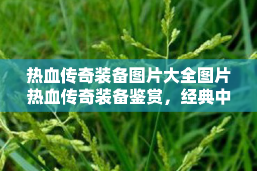 热血传奇装备图片大全图片热血传奇装备鉴赏图片