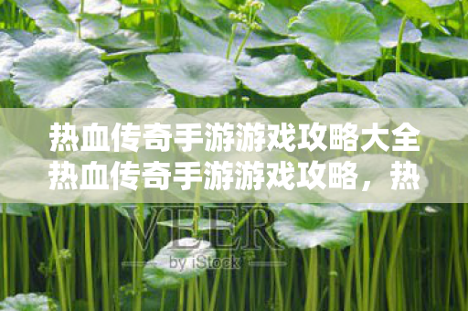 热血传奇手游游戏攻略大全热血传奇手游游戏攻略图片
