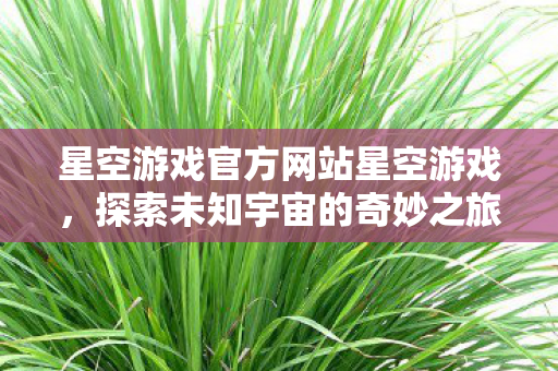 星空游戏官方网站星空游戏，探索未知宇宙的奇妙之旅，星空游戏，探索未知宇宙的奇妙之旅