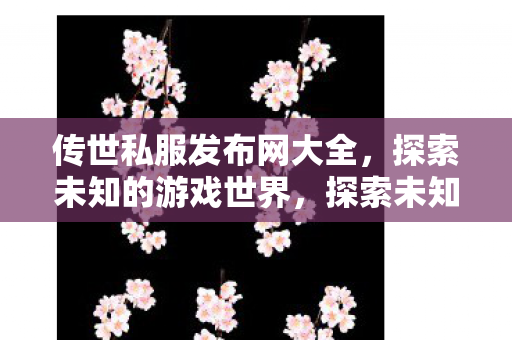 传世私服发布网大全图片