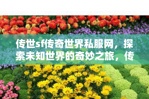 传世sf传奇世界私服网，探索未知世界的奇妙之旅，传世sf传奇世界私服网，开启探索未知世界的奇妙冒险