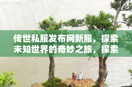 探索未知世界的奇妙之旅图片